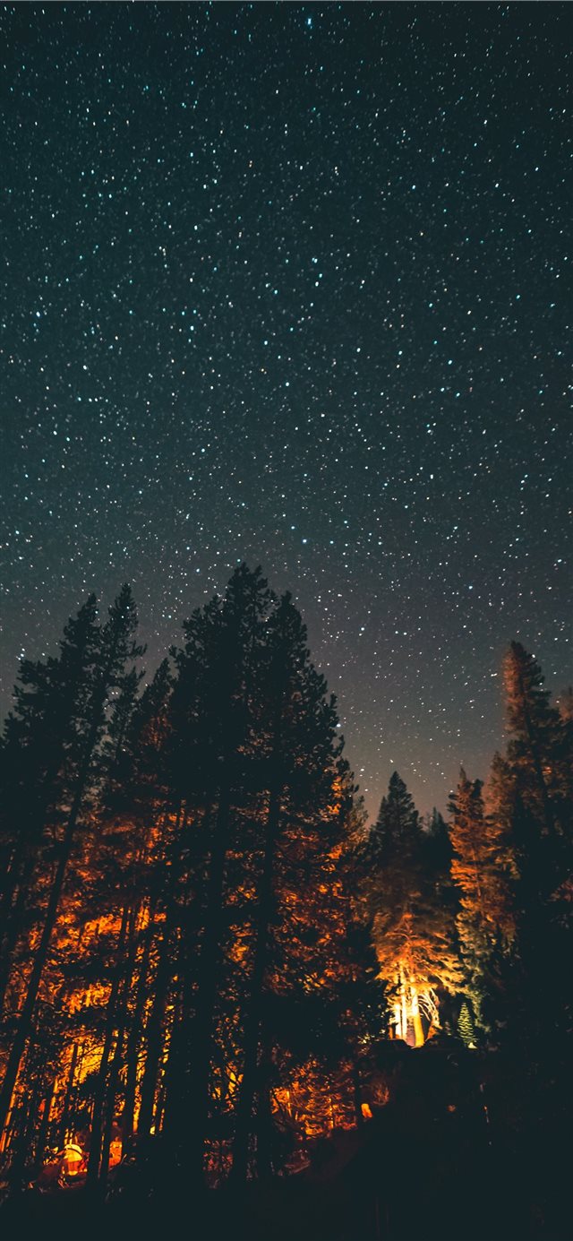 1125x2436 nightlight -  iPhone X Wallpaper