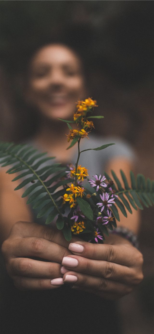 1125x2436 Great Smoky Mountains  United States - plant iPhone X Wallpaper