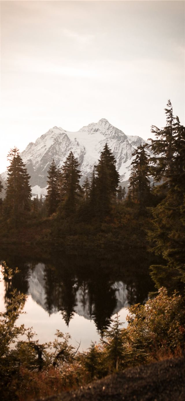 1125x2436 Artist Point  Deming  United States - reflection iPhone X Wallpaper