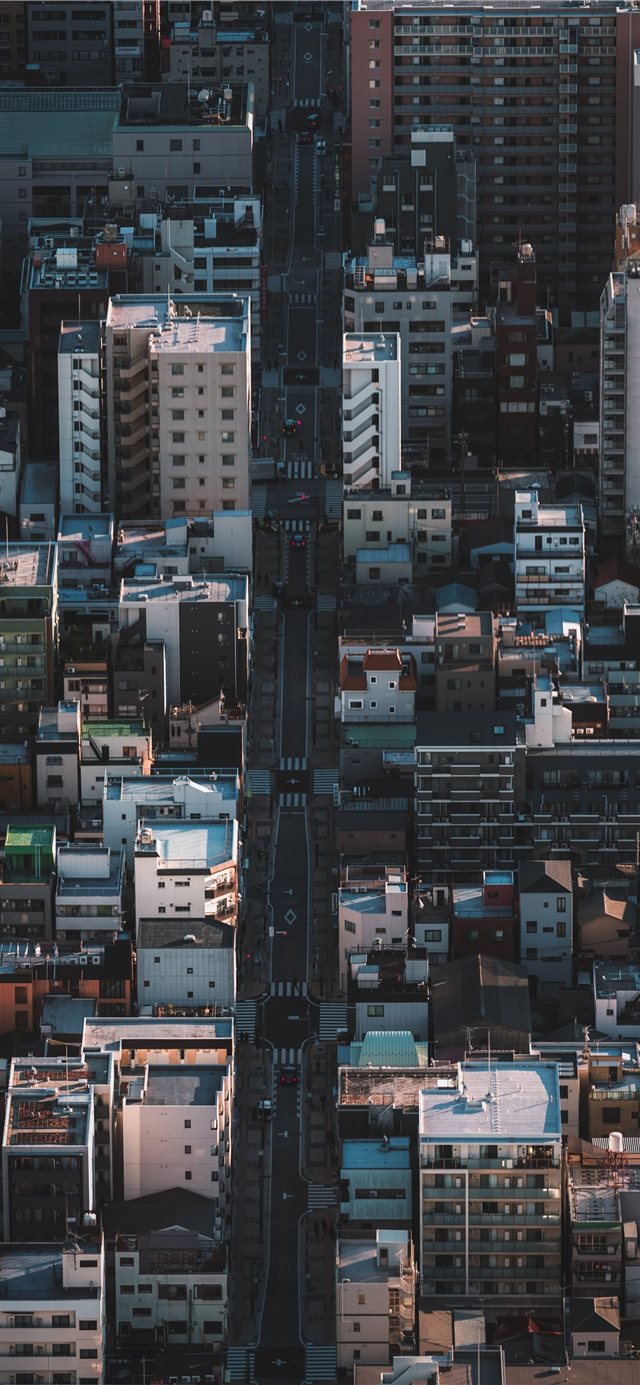 1125x2436 Tokyo Skytree  Sumida ku  Japan - urban iPhone X Wallpaper