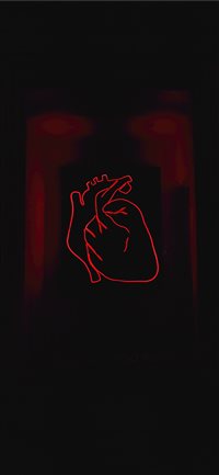 Timișoara  Romania wallpaper