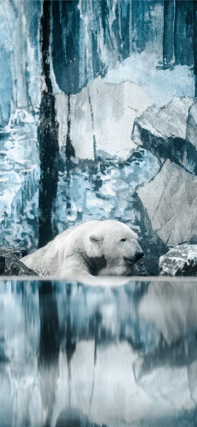 1125x2436 Wild days - wild iPhone X Wallpaper
