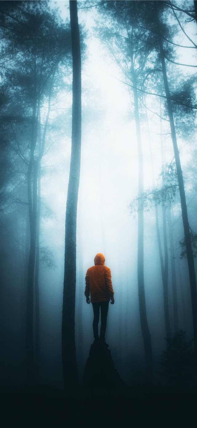 1125x2436 Misty Night - scenery iPhone X Wallpaper