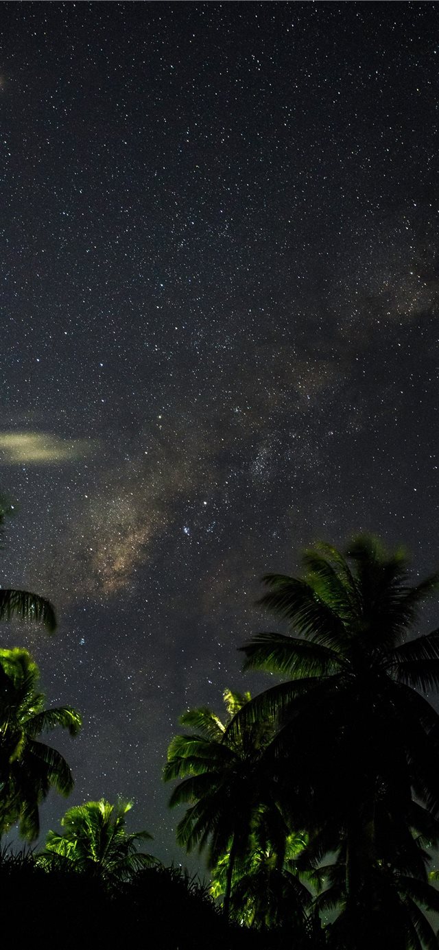 1125x2436 Loneliness isn’t loneliness when you can see star... - night iPhone X Wallpaper