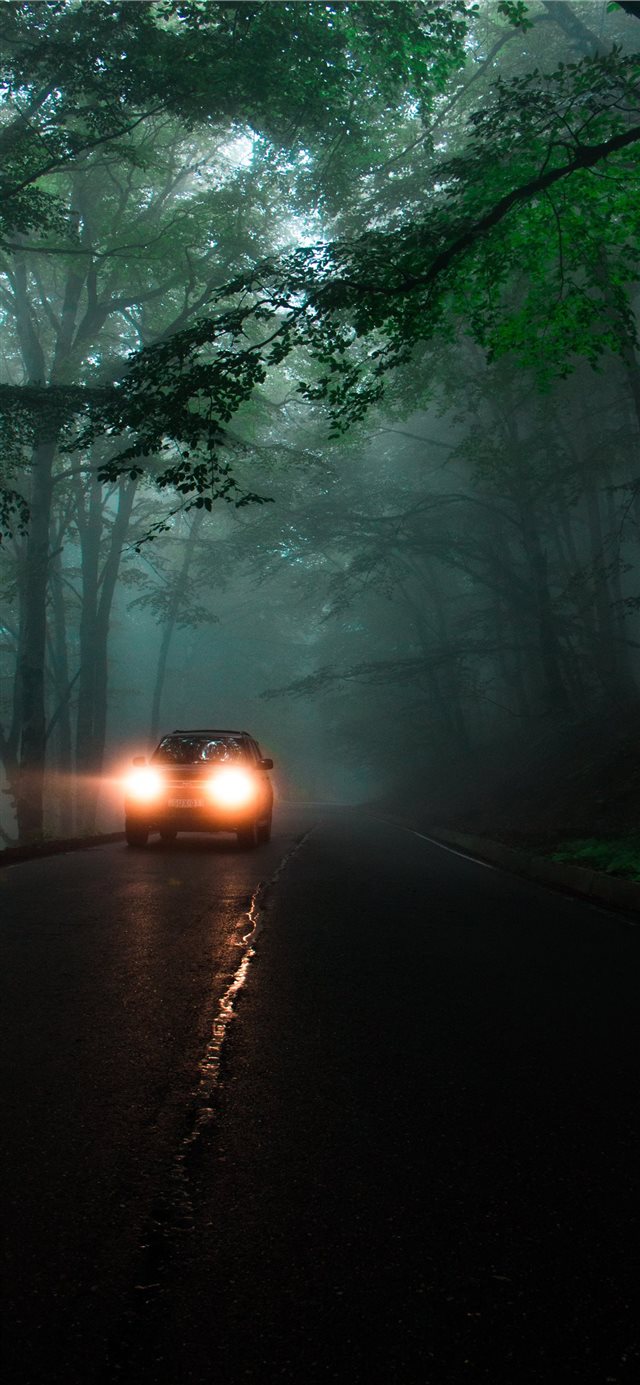 1125x2436 Georgia - light iPhone X Wallpaper