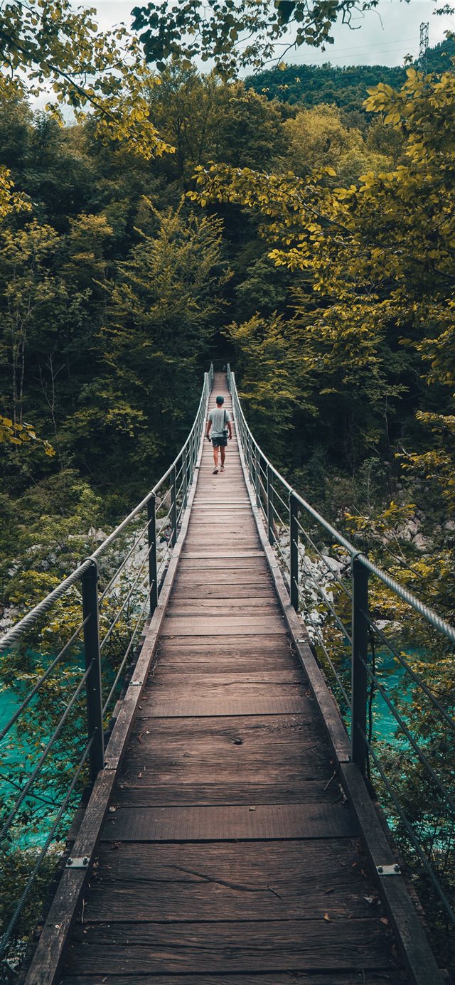 1125x2436 Swing Bridge - wild iPhone X Wallpaper