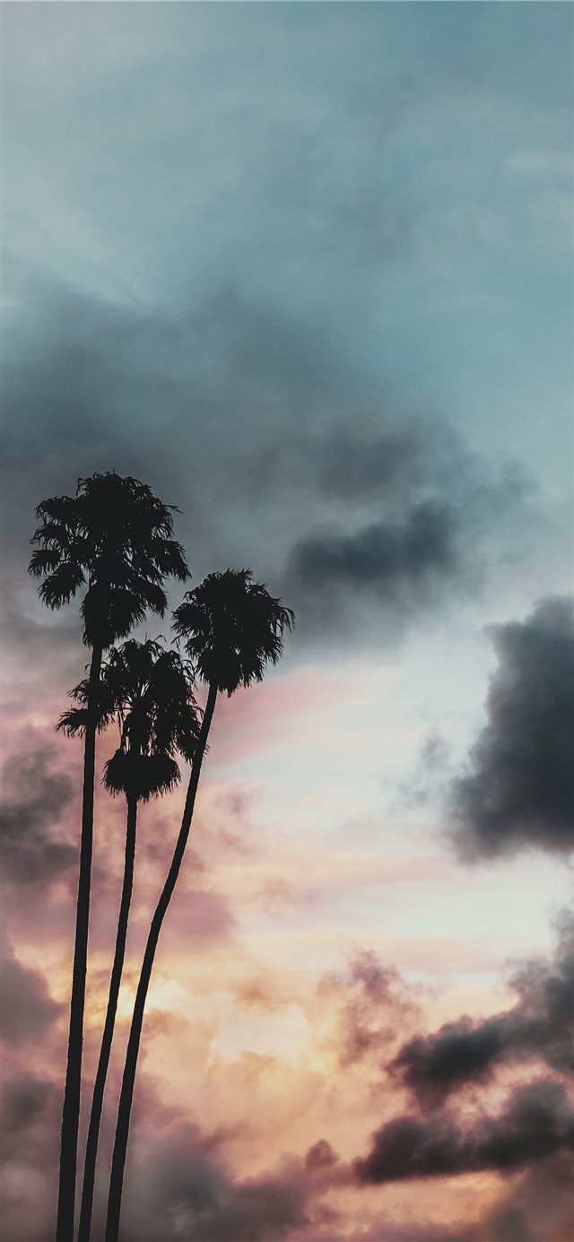 1125x2436 Storms Comin’ - silhouette iPhone X Wallpaper