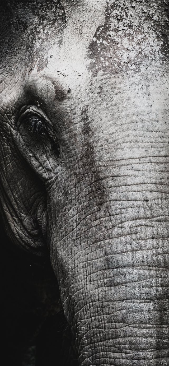1125x2436 Saved from humanity - thailand iPhone X Wallpaper