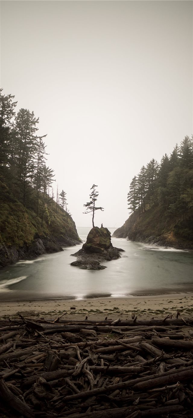 1125x2436 island in water - green iPhone X Wallpaper
