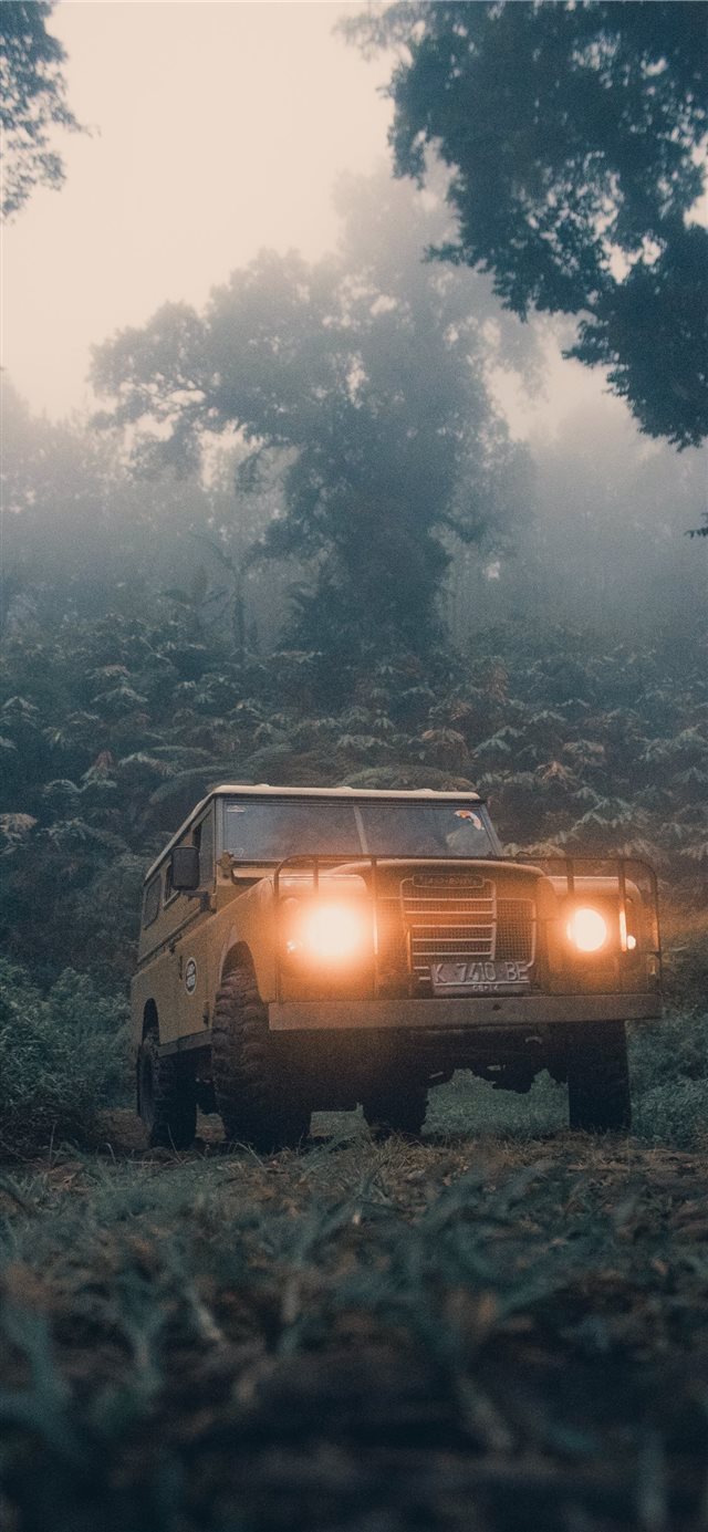 1125x2436 Lost in forest - indonesia iPhone X Wallpaper