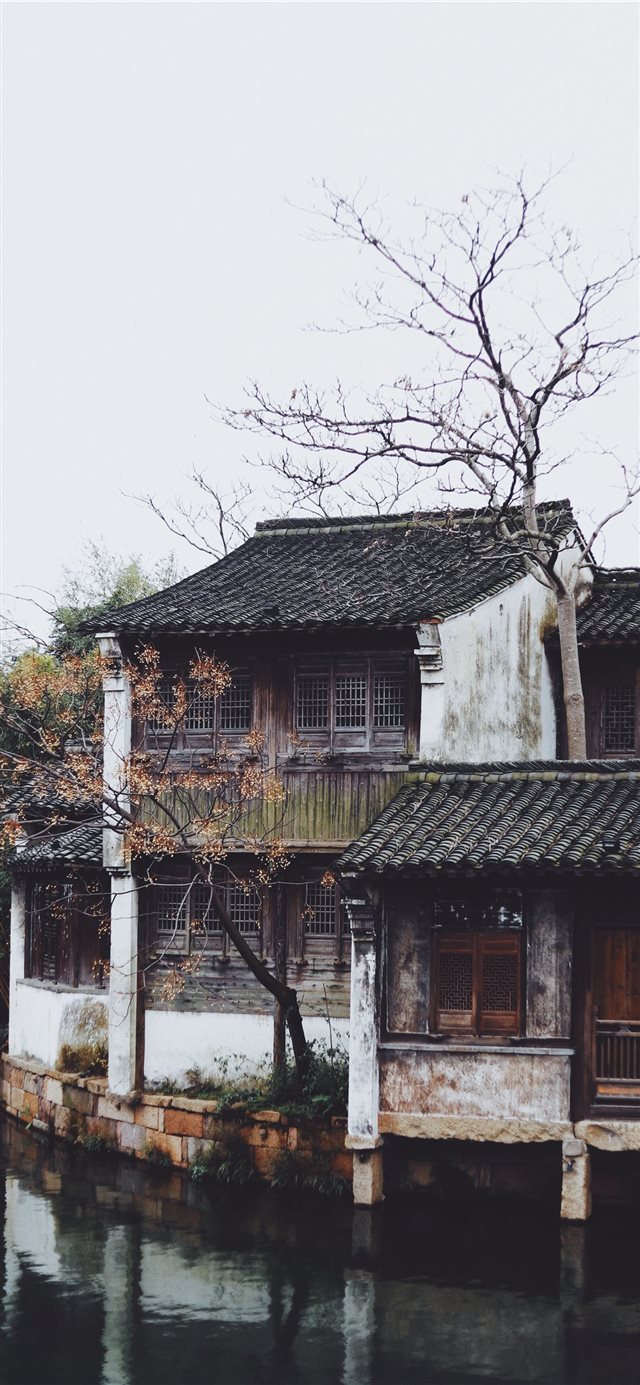 1125x2436 house near body of water and bare tree during dayt... - building iPhone X Wallpaper