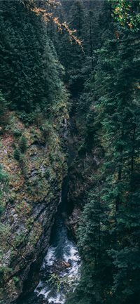 Switzerland iPhone X(S/Max/R) wallpaper