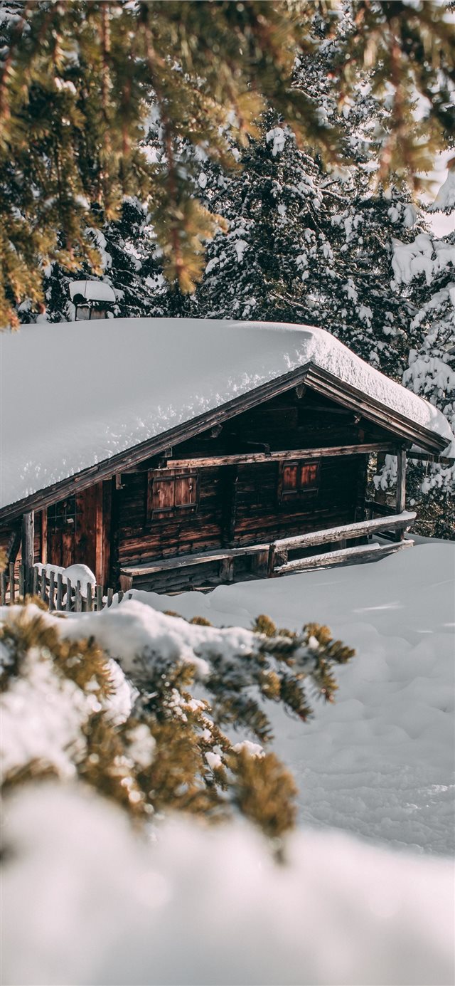 1125x2436 Forest cabin in the snow of austria - building iPhone X Wallpaper