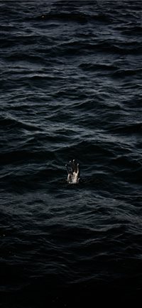 human hand on body of water wallpaper