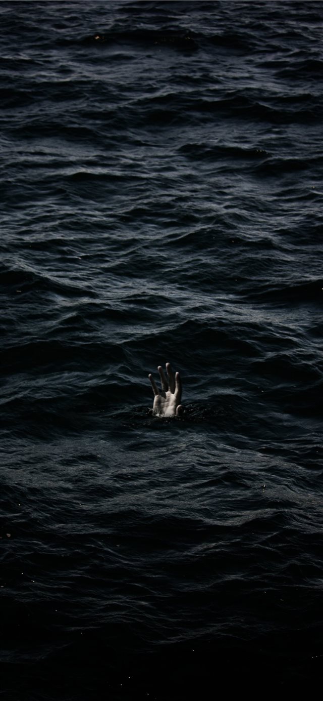 1125x2436 human hand on body of water - bird iPhone X Wallpaper