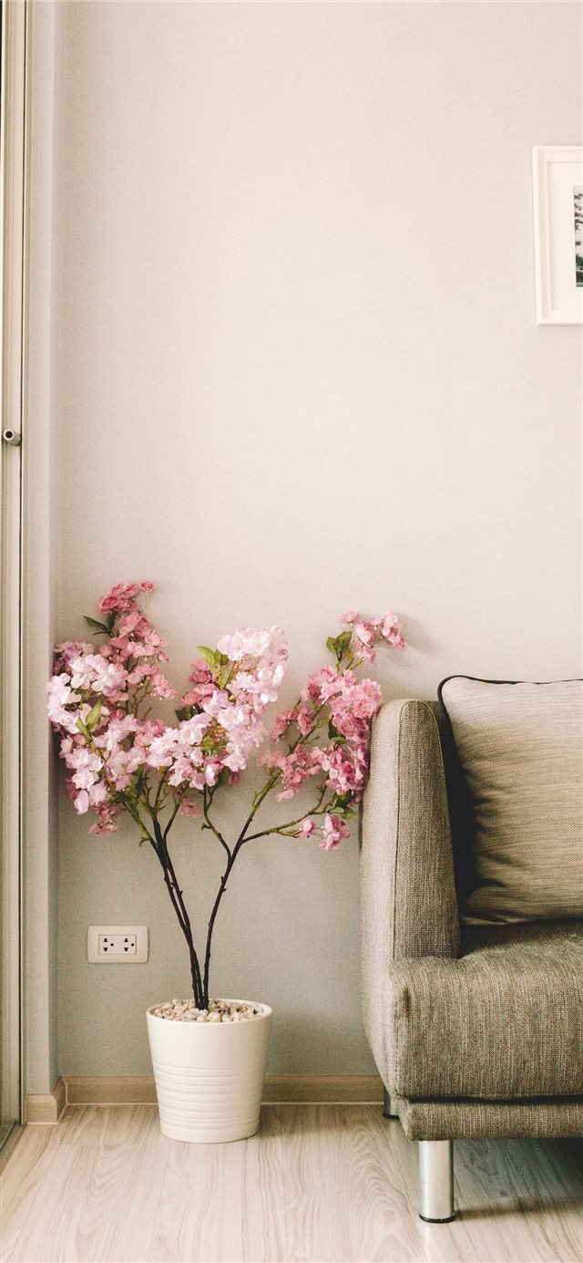 1125x2436 pink flowers beside sofa - indoors iPhone X Wallpaper