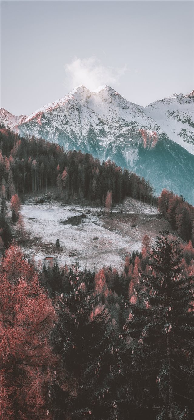 1125x2436 icy mountain and green trees scenry - tree iPhone X Wallpaper