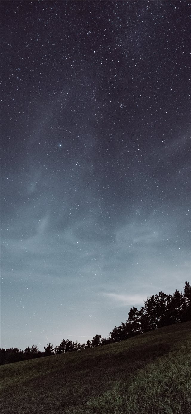 1125x2436 trees surrounded by grass - night iPhone X Wallpaper