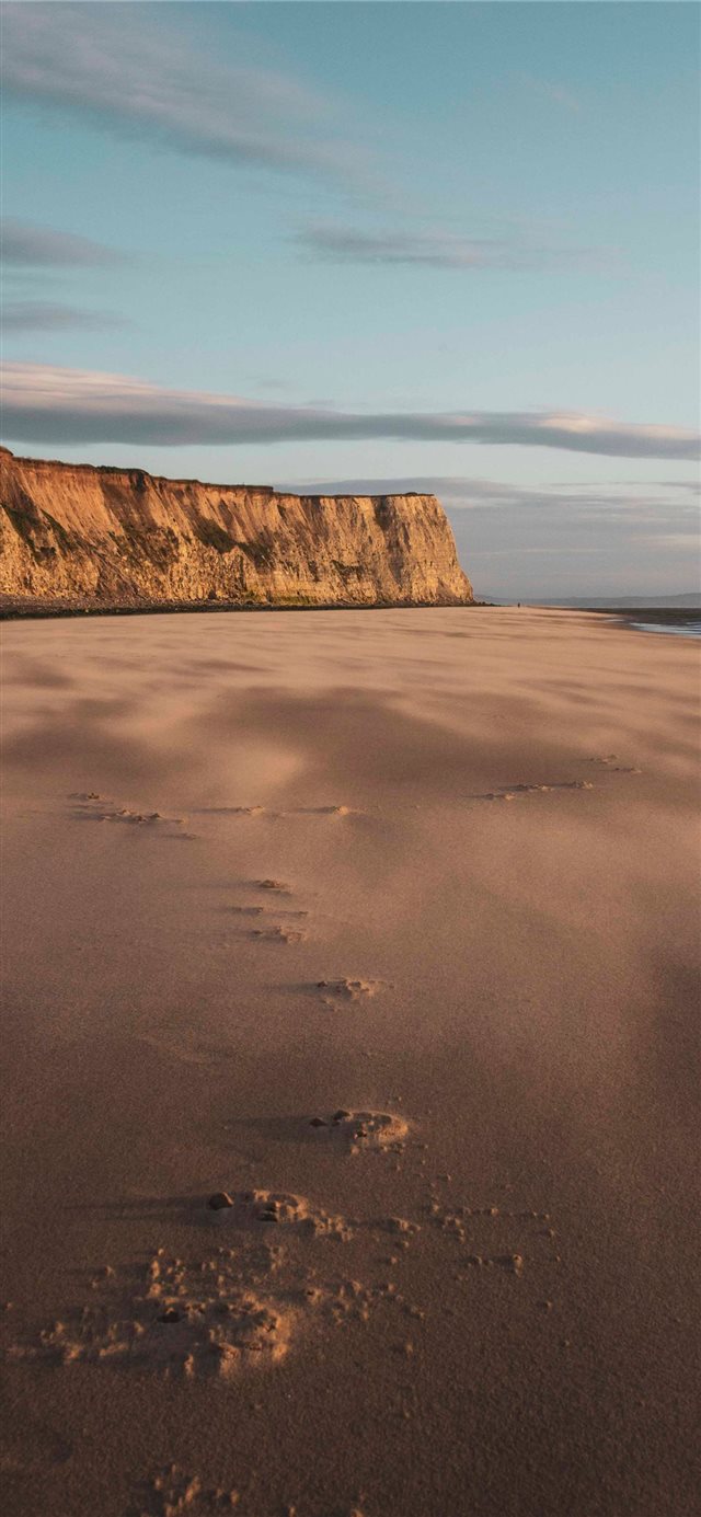 1125x2436 sand dunes by the sea - bird iPhone X Wallpaper