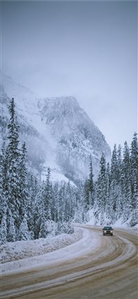 Winter Cruise wallpaper