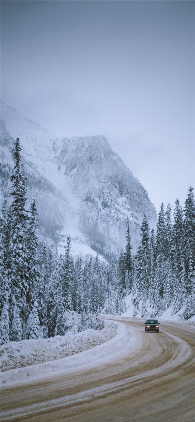 1125x2436 Winter Cruise - fir iPhone X Wallpaper