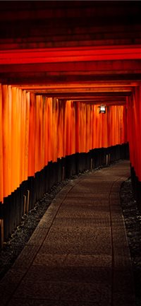Fushimi inari taisha kyoto japan iPhone X(S/Max/R) wallpaper