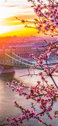 Liberty bridge in Hungary  Spring edition  wallpaper