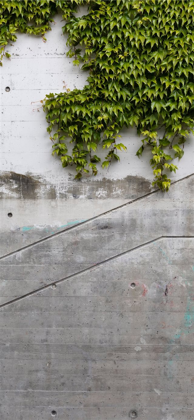1125x2436 Zürich  Switzerland - switzerland iPhone X Wallpaper