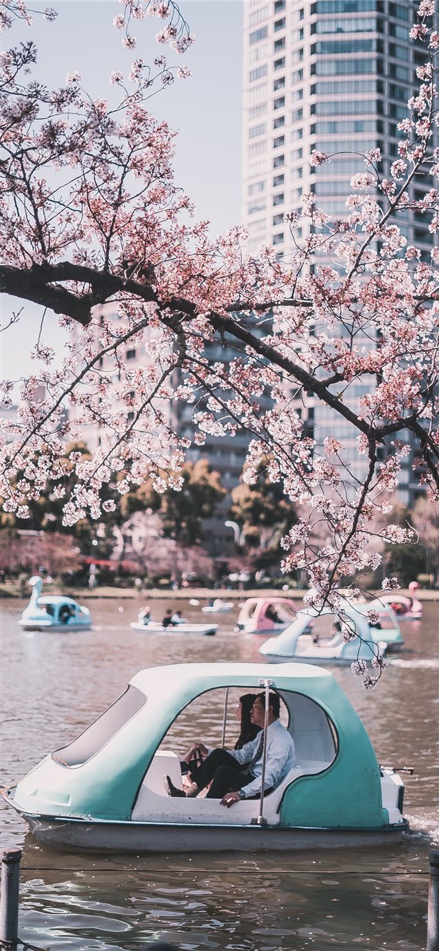 1125x2436 Ueno Park  Tokyo  Japan - tokyo iPhone X Wallpaper