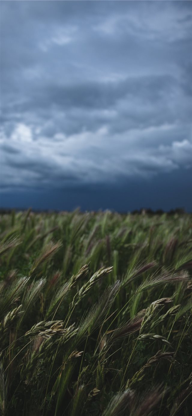 1125x2436 For more pictures  instagram com _blrguillaume - blue sky iPhone X Wallpaper