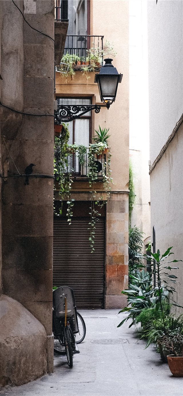 1125x2436 Barcelona  Spain - wall iPhone X Wallpaper