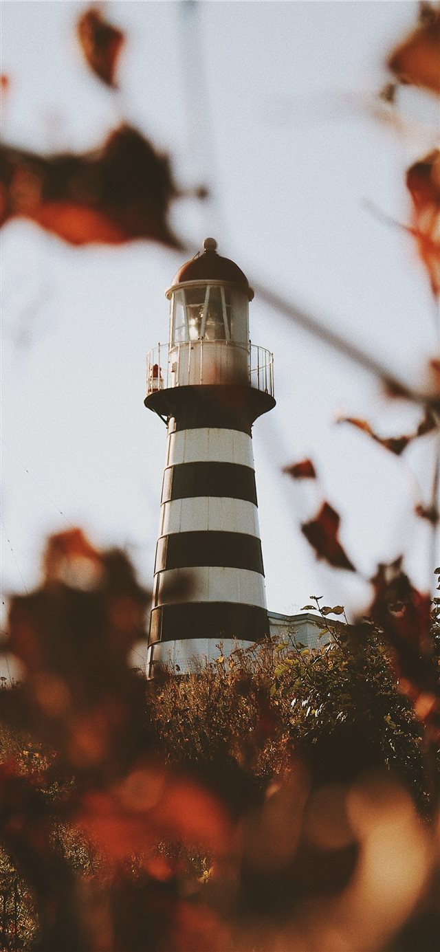 1125x2436 Lighthouse Petrovsky  - flare iPhone X Wallpaper