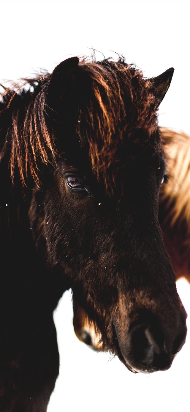 1125x2436 Vik  Iceland - iceland iPhone X Wallpaper