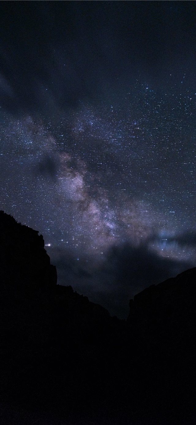 1125x2436 Peek A Boo - landscape iPhone X Wallpaper