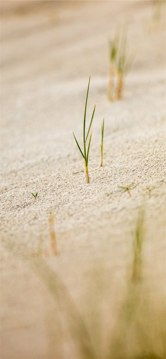 1125x2436 Helgoland  Germany - soil iPhone X Wallpaper