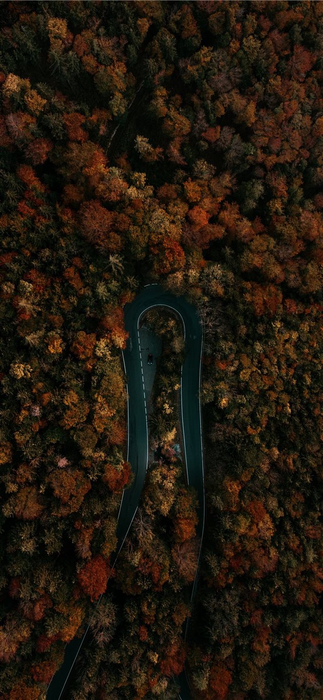 1125x2436 This shot was taken in my hometown Salzburg in bea... - fall iPhone X Wallpaper