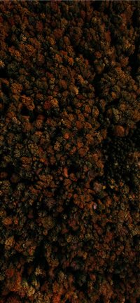 Gaisberg Rauchenbühelkehre  Salzburg  Austria wallpaper