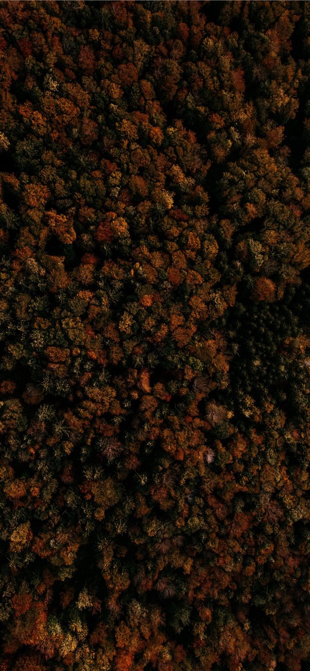 1125x2436 Gaisberg Rauchenbühelkehre  Salzburg  Austria - sweets iPhone X Wallpaper