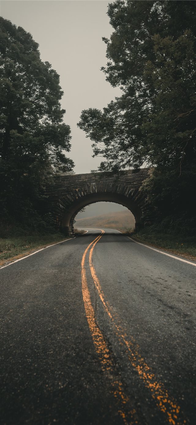 1125x2436 Searching for trolls in North Carolina - moody iPhone X Wallpaper