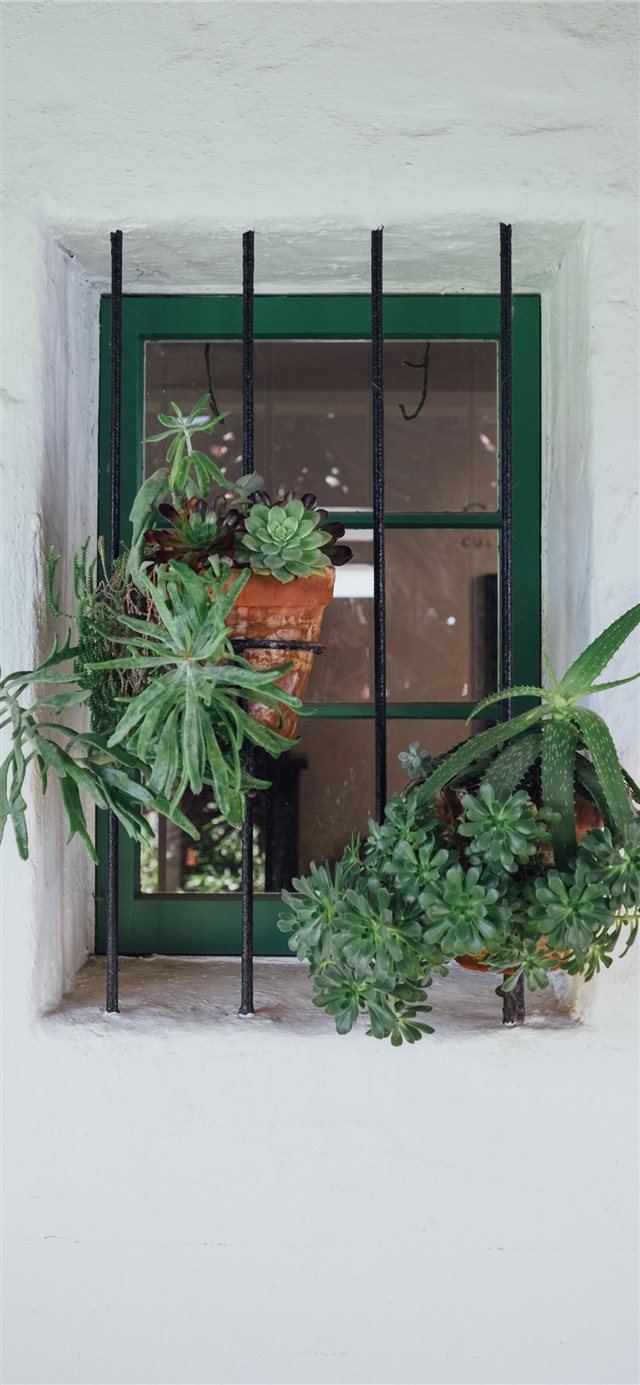 1125x2436 Spent the day at the Casa Romantica Cultural Cente... - window iPhone X Wallpaper
