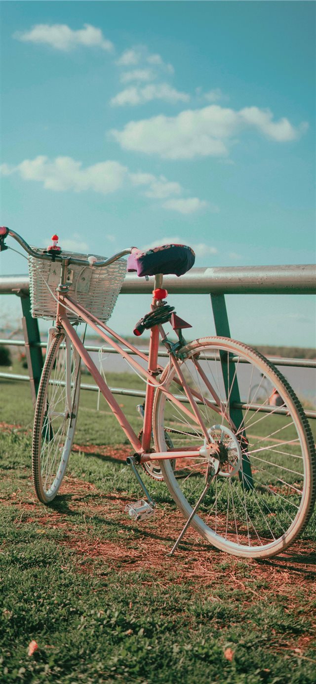 1125x2436 Pastel pink bike by the coast walk - argentina iPhone X Wallpaper
