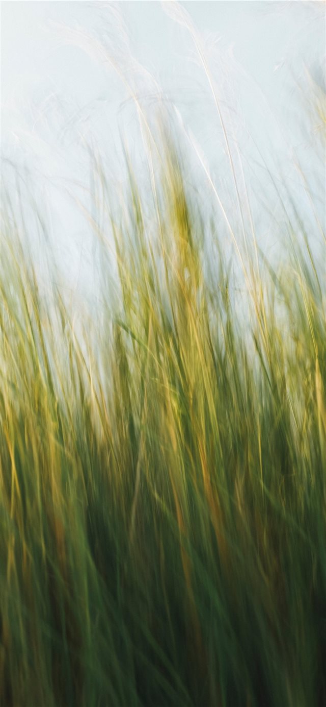 1125x2436 Made with Canon 5d Mark III and loved analog lens ... - grain iPhone X Wallpaper