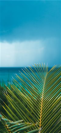 Eleuthera Bahamas iPhone X(S/Max/R) wallpaper