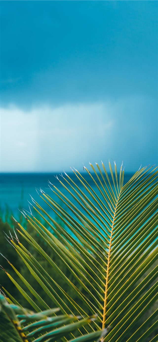 1125x2436 Eleuthera  Bahamas - flare iPhone X Wallpaper