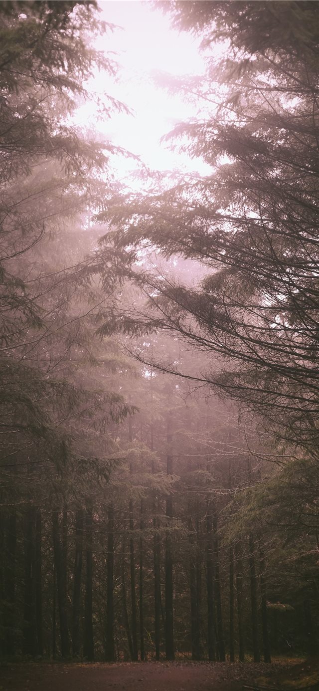 1125x2436 Tillamook  Oregon  United States - oregon iPhone X Wallpaper