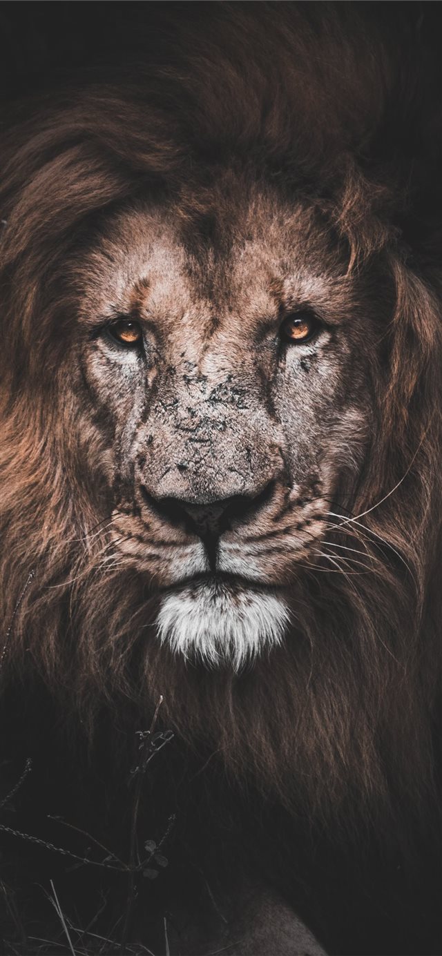 1125x2436 Mauritius - moody iPhone X Wallpaper