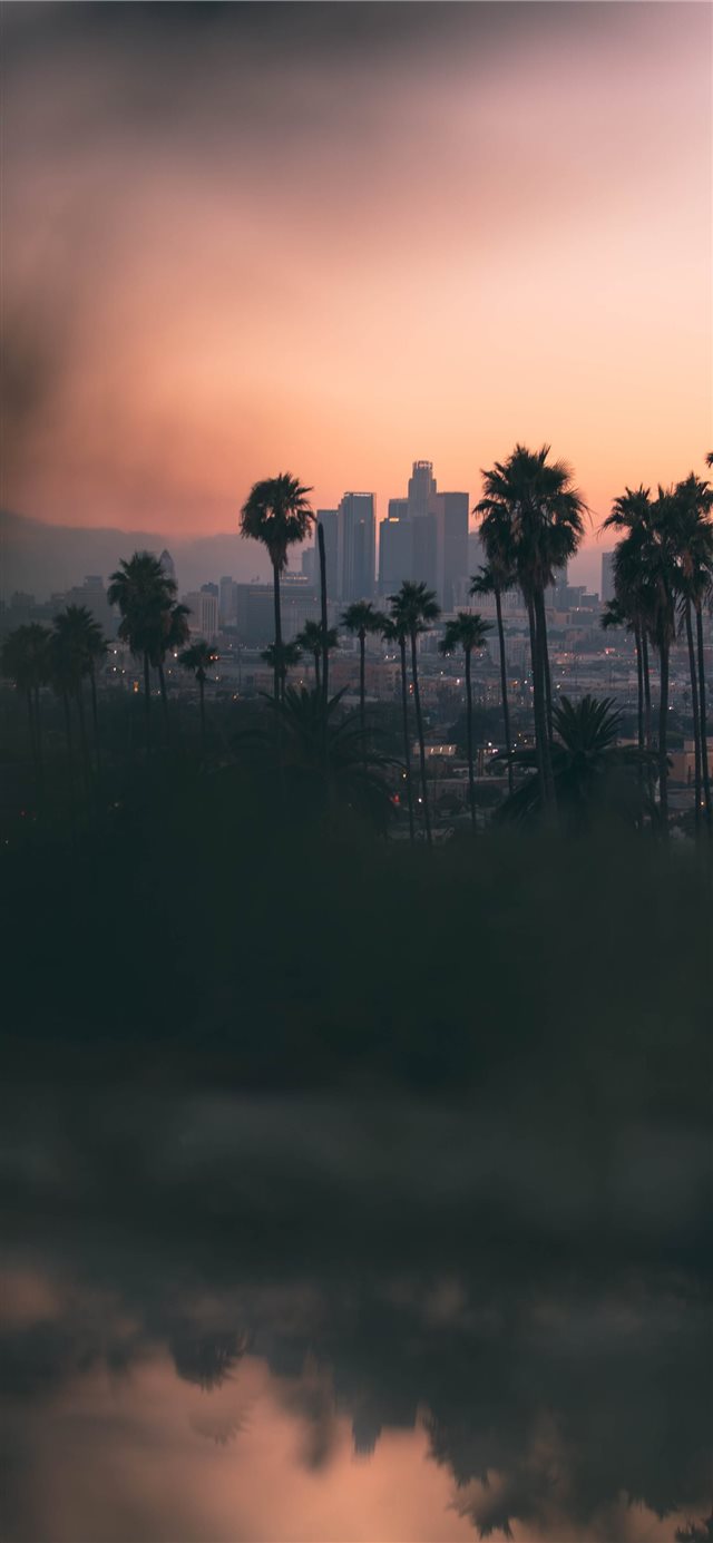 1125x2436 Hazy sunset in East Los Angeles  from Montecito He... - palm tree iPhone X Wallpaper