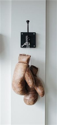 Boxing Gloves wallpaper