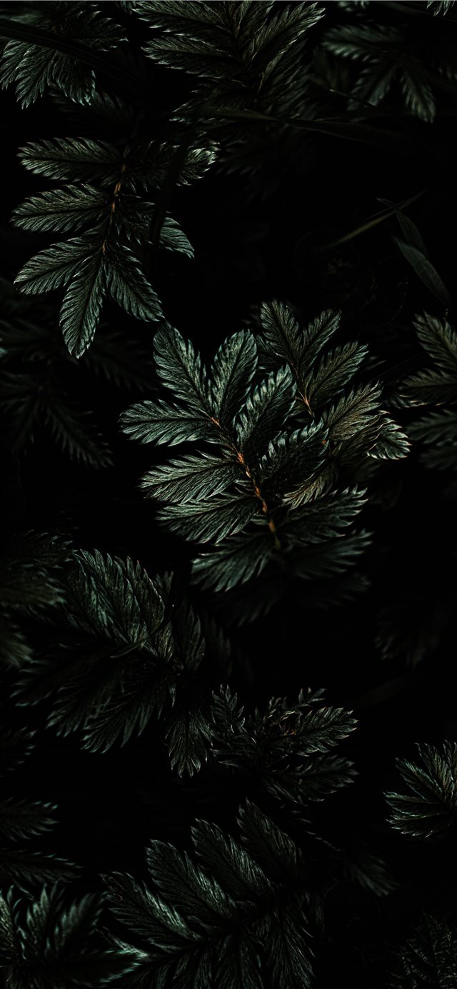 1125x2436 Moody Tones - moody iPhone X Wallpaper