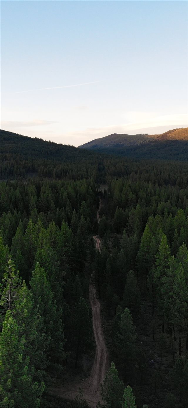 1125x2436 Egypt - spruce iPhone X Wallpaper